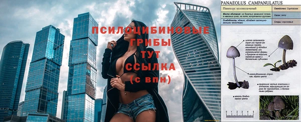 а пвп мука Березники