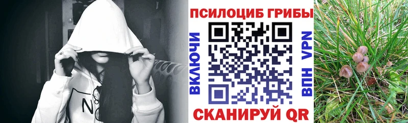 Псилоцибиновые грибы Psilocybine cubensis  Купить где  Советская Гавань 