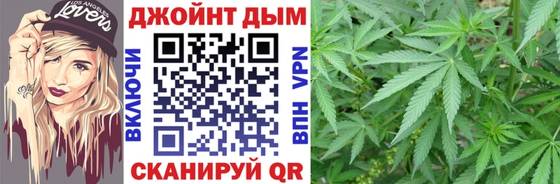Купить закладки  Советская Гавань  Каннабис сатива 